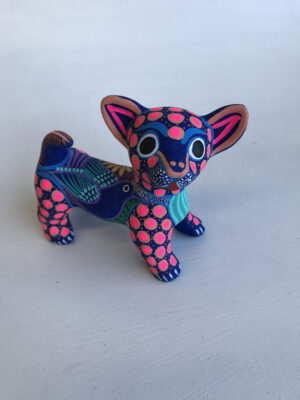 Spirit Chihuahua