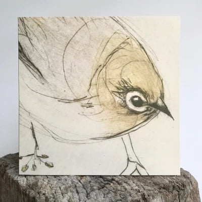Silvereye Card - Artist Collection