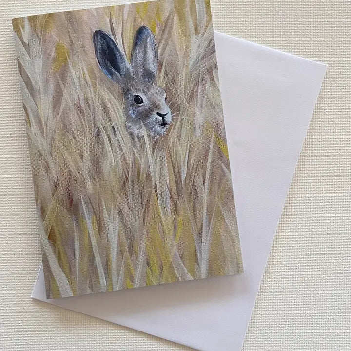 Card Hare in Field