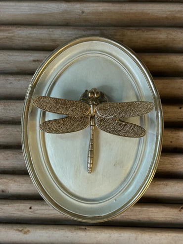 Sculpted Wall Art - Beige Dragonfly