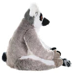 Ring Tailed Lemur