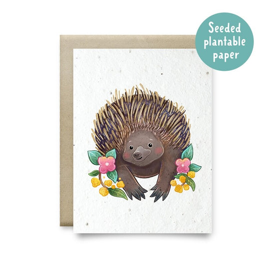 Card Plantable Echidna