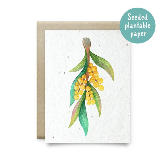 Card Plantable Yellow Wattle