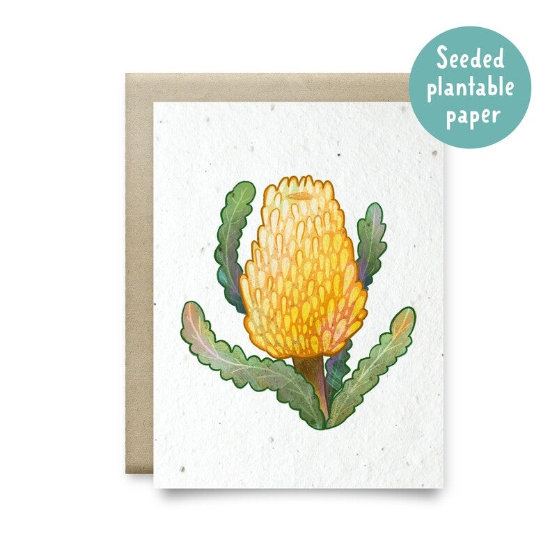 Card Plantable Yellow Banksia