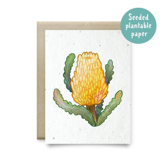 Card Plantable Yellow Banksia