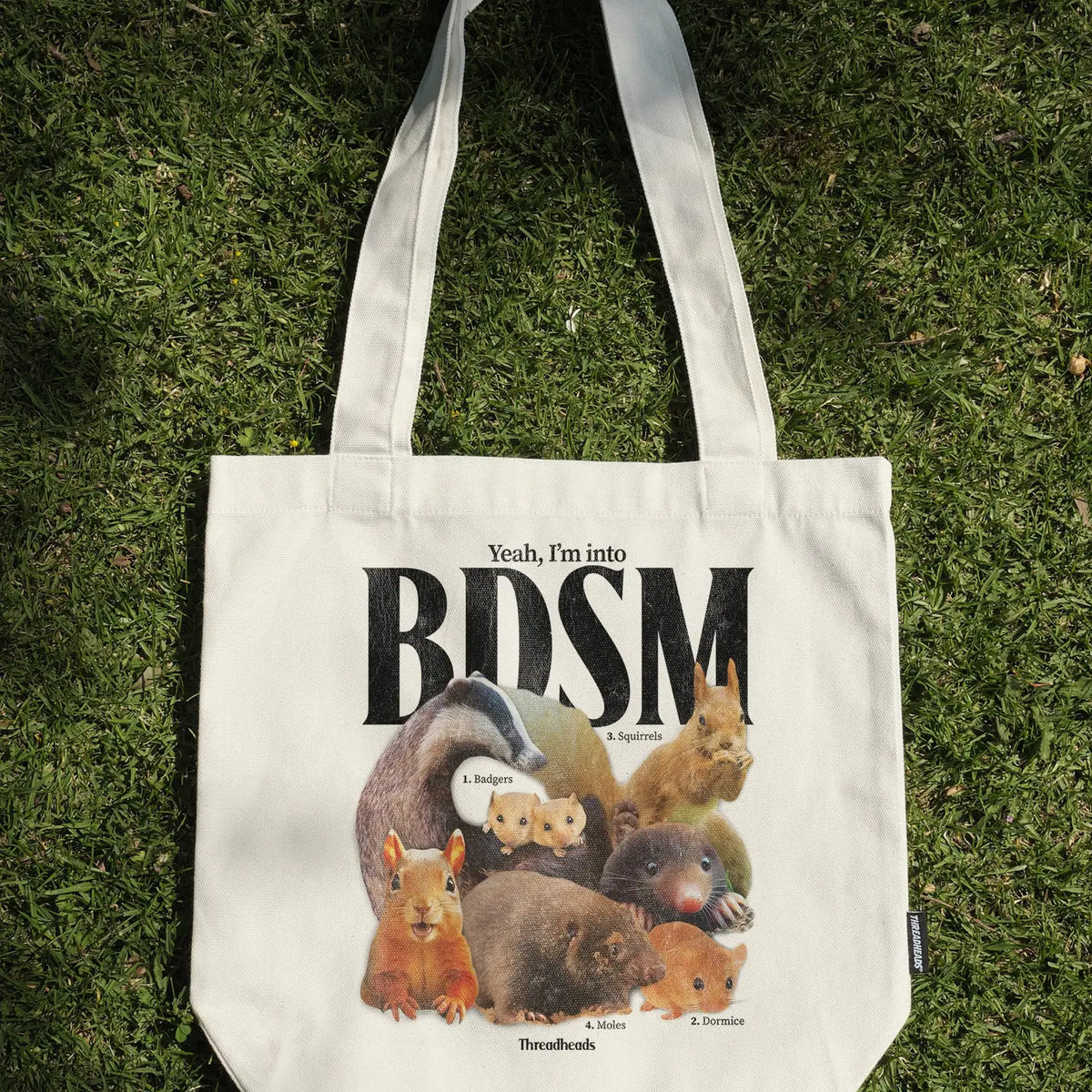 Tote Bag - Yeah I'm Into BDSM