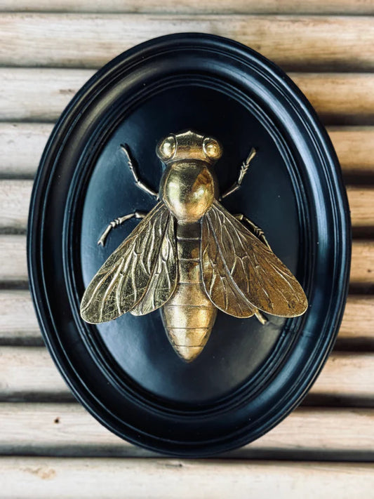 Sculpted Wall Art - Onyx Bee