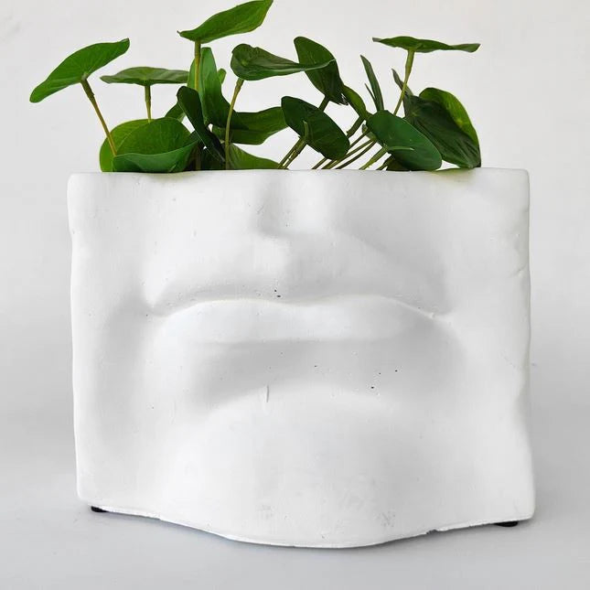 David's Mouth White Planter