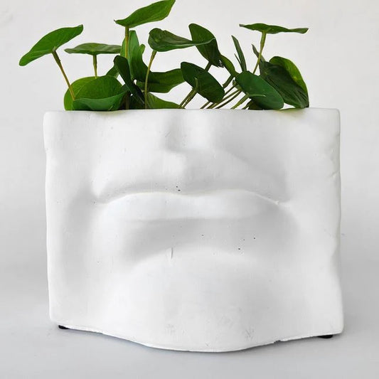 David's Mouth White Planter