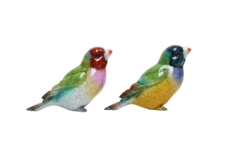 Fabulous Finch Miniature