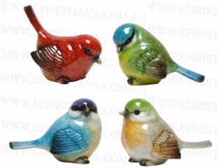 Bella Big Wren Miniature