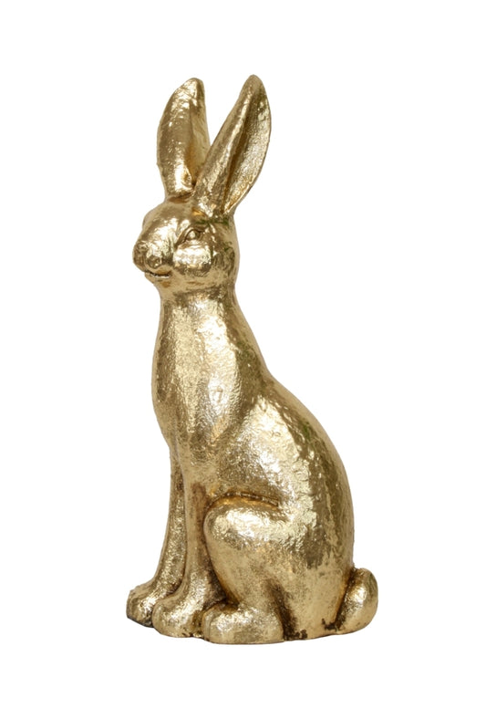 Beautiful Gold Rabbit