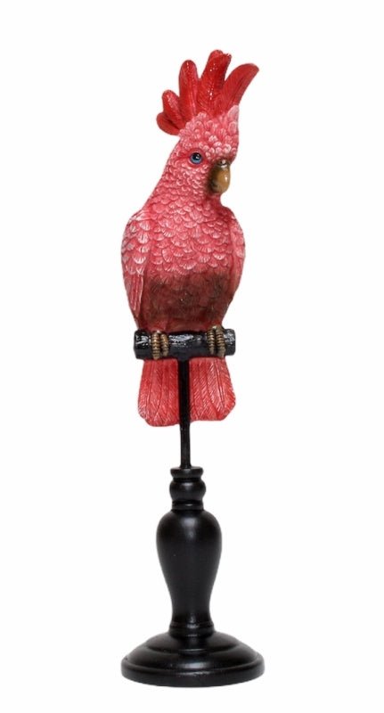 Flamin' Galah Bird On A Perch