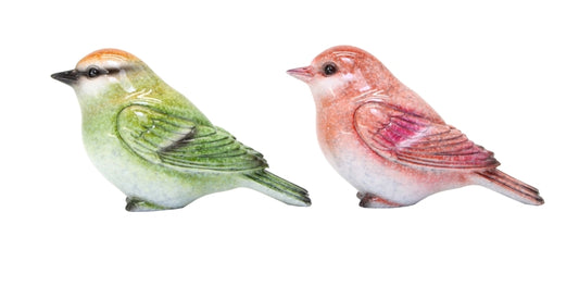 Robin Robin Pair