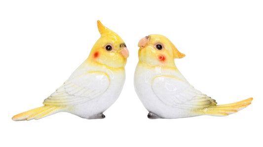 Carla Cockatiel Miniature