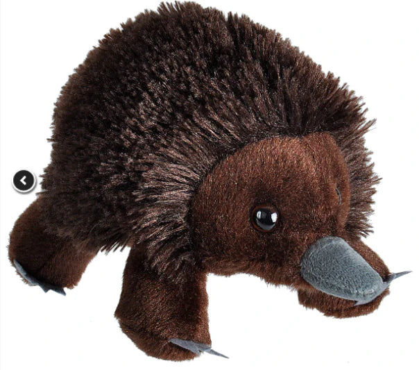 Huggems Mini Echidna Plush