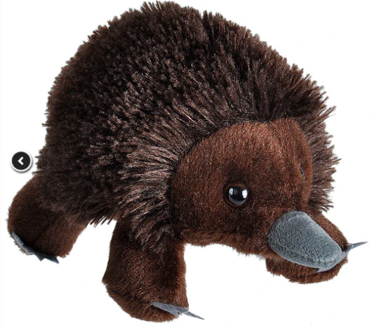 Huggems Mini Echidna Plush