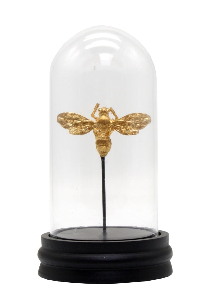 Lone Bee Cloche