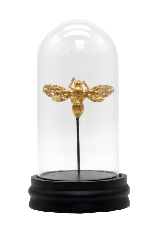 Lone Bee Cloche