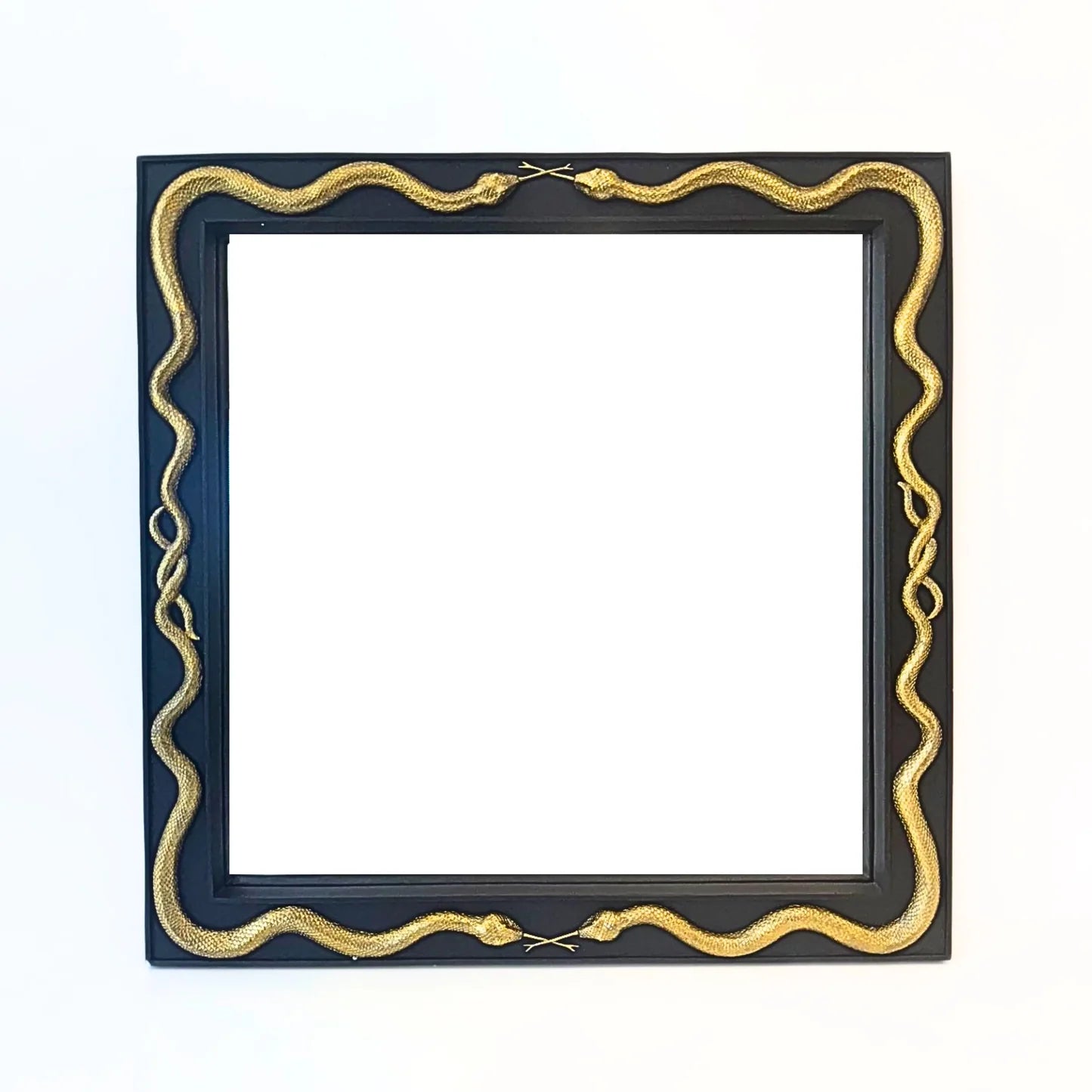 Big Python Mirror