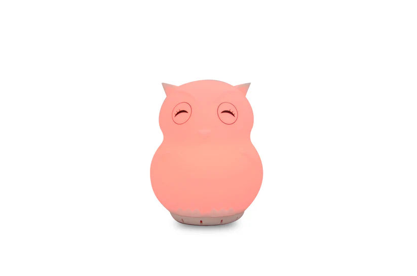 Duski Owl USB Night Light & Speaker