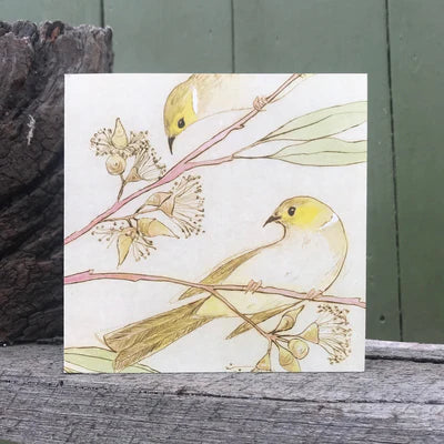 Plumed Honeyeater Card - Artist Collection