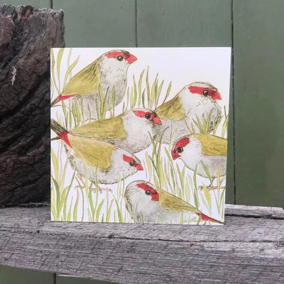 Red Browed Finch Card - Artist Collection