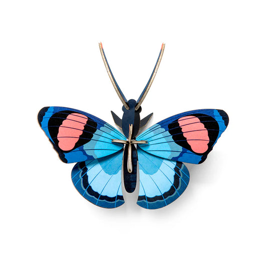 Studio Roof 3D Peacock Butterfly Wall Art