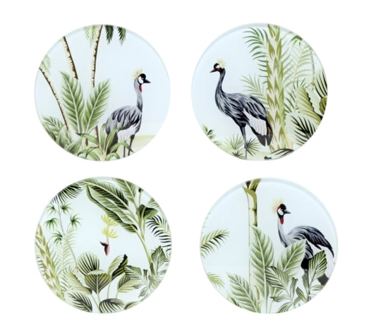 Paradise Birds Coasters (Set of 4)