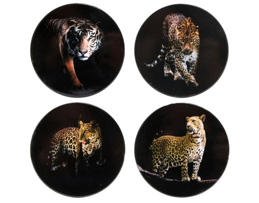 Big Cats Coasters (Set of 4)
