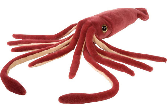 Giant Squid