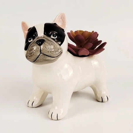 Finneas The Frenchy Ceramic Planter