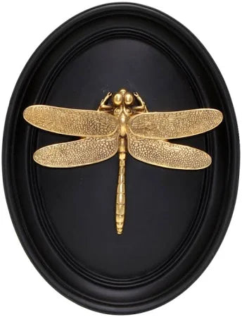 Sculpted Wall Art - Onyx Dragonfly