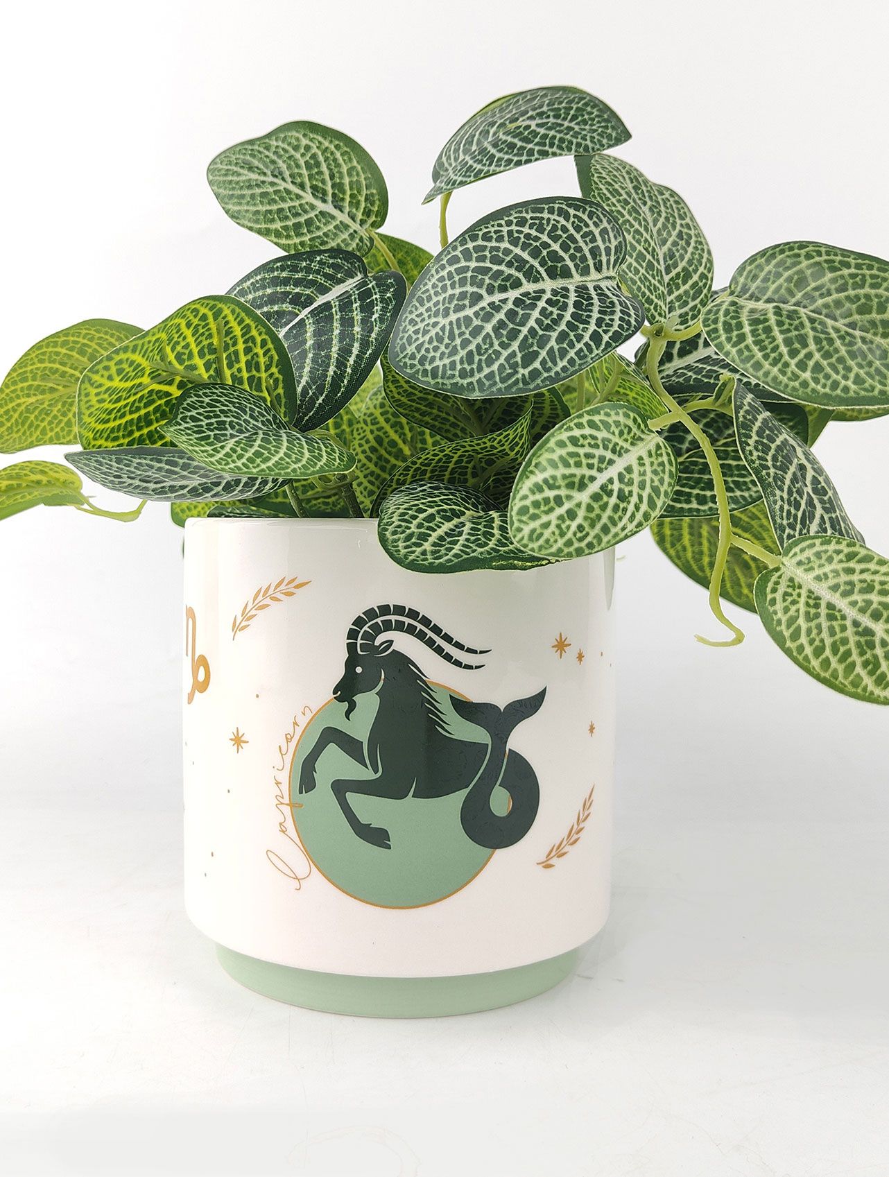 Capricorn Zodiac Ceramic Planter