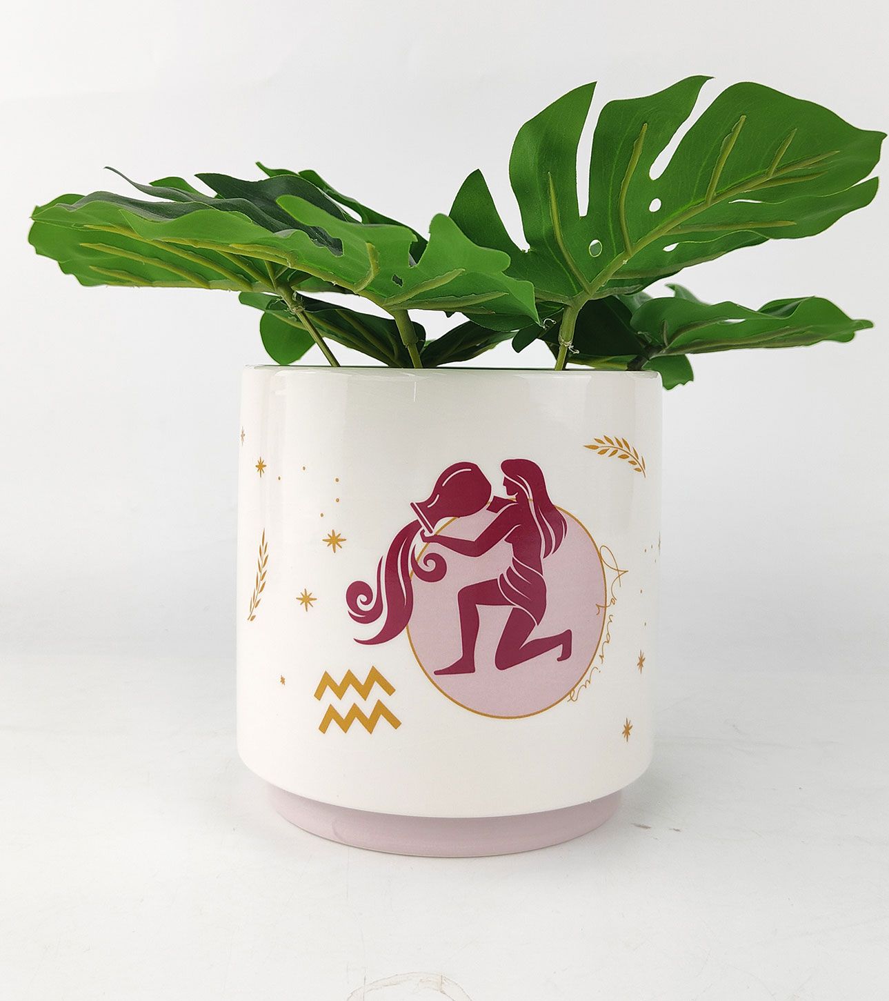 Aquarius Zodiac Ceramic Planter