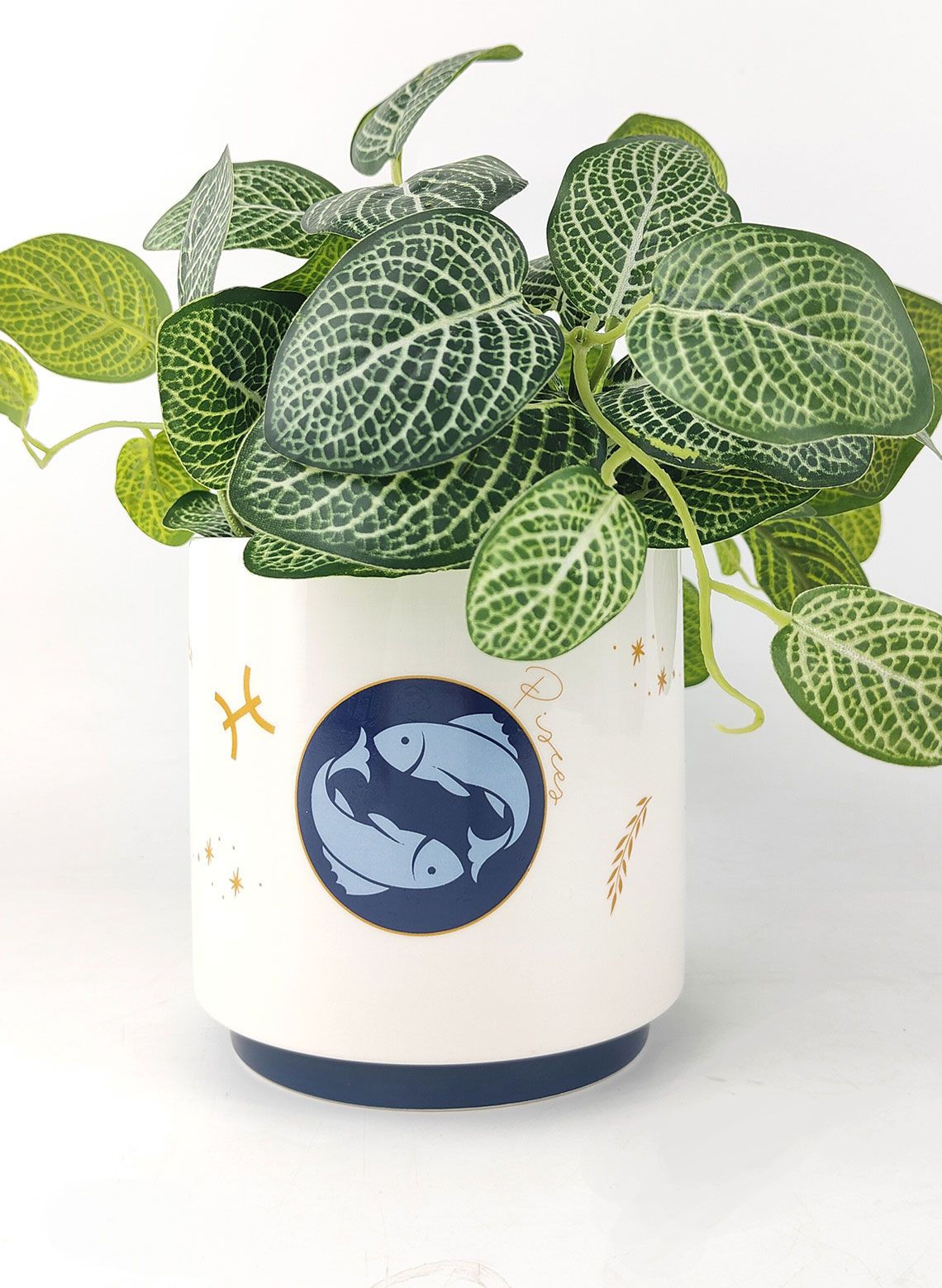 Pisces Zodiac Ceramic Planter