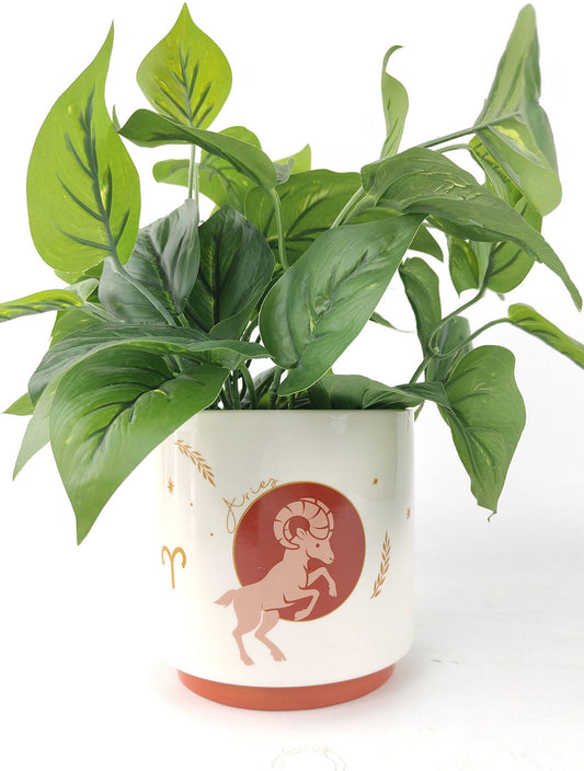 Aries Zodiac Ceramic Planter