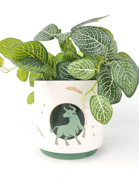Taurus Zodiac Ceramic Planter