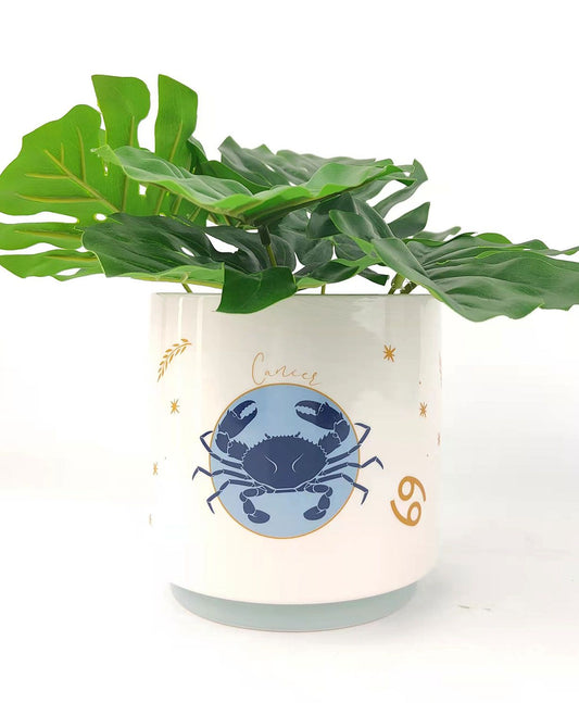 Cancer Zodiac Ceramic Planter