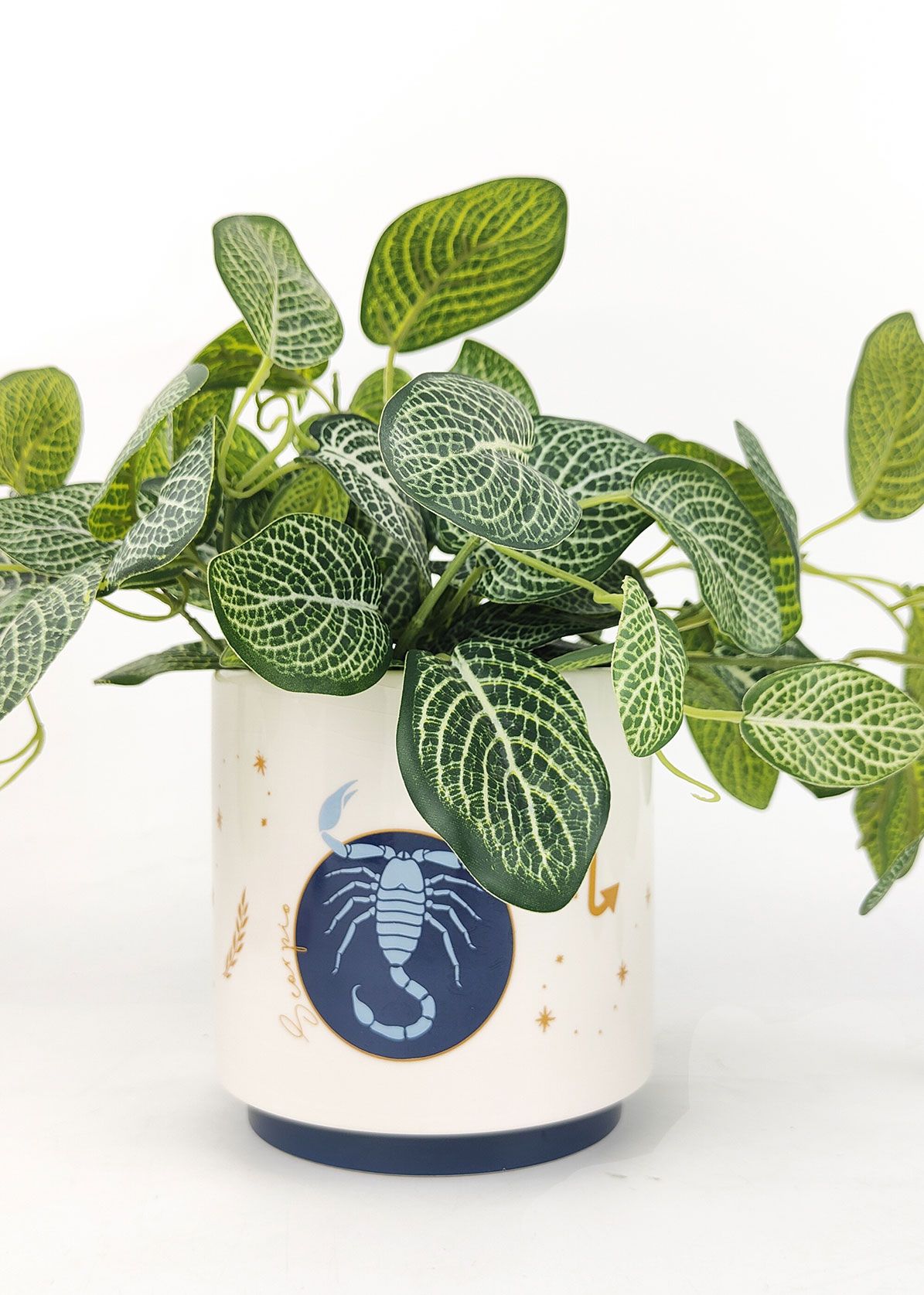 Scorpio Zodiac Ceramic Planter